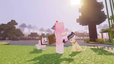 Enhanced Pets Mod / Addon